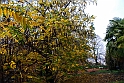 Parco Europa Autunno_032